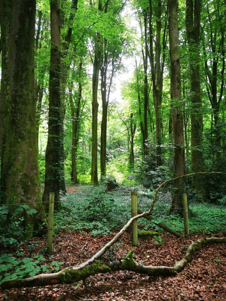 Photography 10